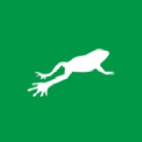 A Leap Ahead IT Logo