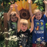 Sunflower Preschool Logo
