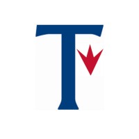 Tempus Real Estate Capital Logo