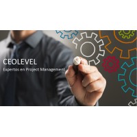 CEOLEVEL Logo