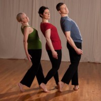 Windfall Dancers INC Logo