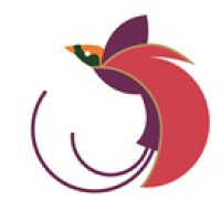 Air Niugini Logo
