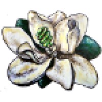Green Light New Orleans Logo