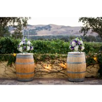 LAS POSITAS VINEYARDS Logo