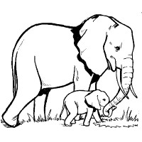 Little Elephant Logo