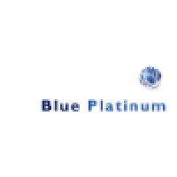 Blue Platinum Consulting Logo