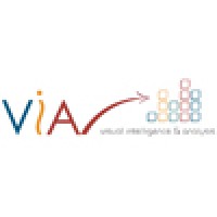 VIA - Visual Intelligence & Analysis Logo