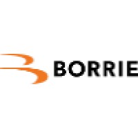 Borrie Accountants/Belastingadviseurs Logo