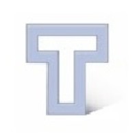 Team Technology Logo