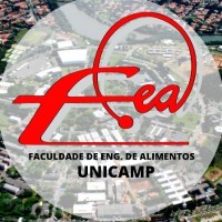 FEA UNICAMP Logo