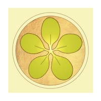Moringa For Life Logo
