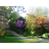Culpeper Community Garden Logo