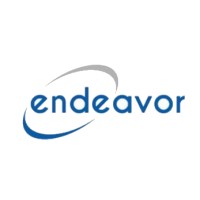 Endeavor Consulting Group, LLC Logo