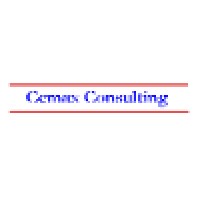 Cemax Consulting Logo