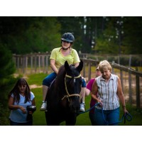 Horse And Buddy Logo