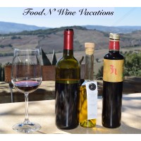 Food N Wine Vacations Logo