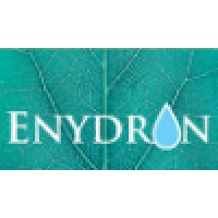 ENYDRON Logo