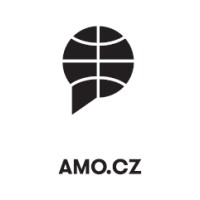 AMO - Association for International Affairs Logo