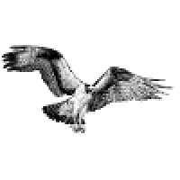 Sagg Creek Marketing Logo