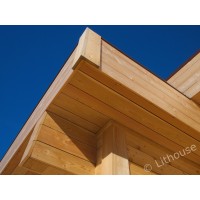 LitHouse Logo