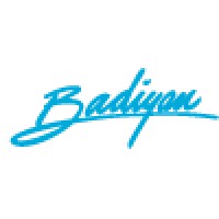 Badiyan, Inc. Logo
