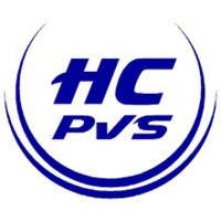 Hierro Consulting: Expedited Passport & Visa Services Logo