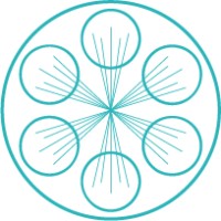 Vacuum Metallizing Limited Logo