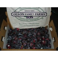 Olson Family Farms Logo