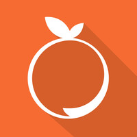 Mandarina Digital Logo