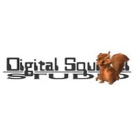 Digital Squirrel Studio Logo