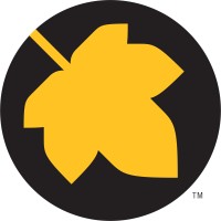 FigDesign Logo