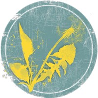 Det frie Gymnasium Logo