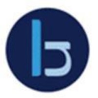 Blake Newport Logo