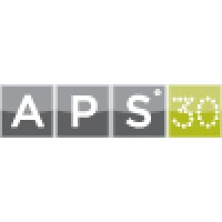 American Pension Services Logo