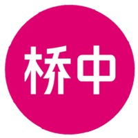 CBi China Bridge Logo