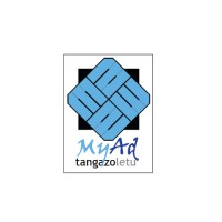 Tangazoletu Limited Logo